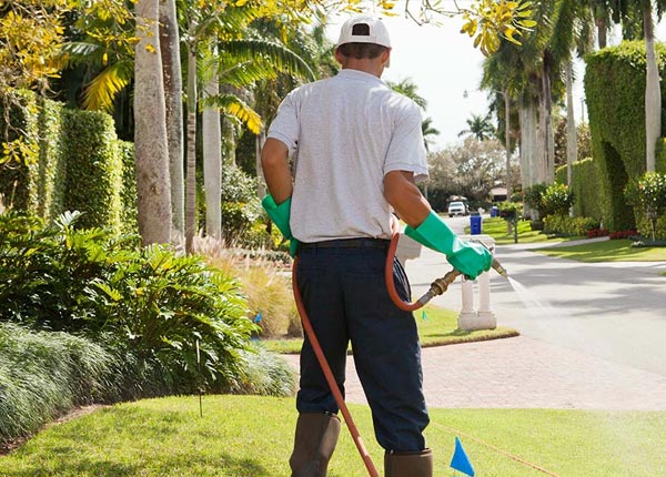 About Stevens PA Pest Control Pros